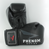 Guantes de saco Phenom Xdt