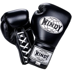Guantes de boxeo Windy Bgl